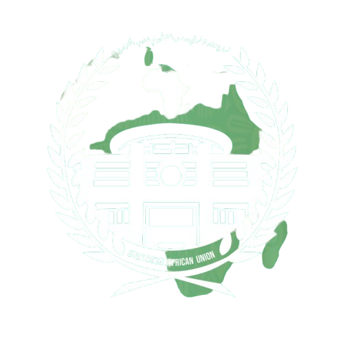 STEM Model African Union Logo
